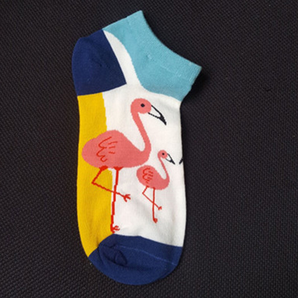5 قطع جوارب قصيرة نسائية من ال - مراجعة Invisibility Sock Loafer وسعره